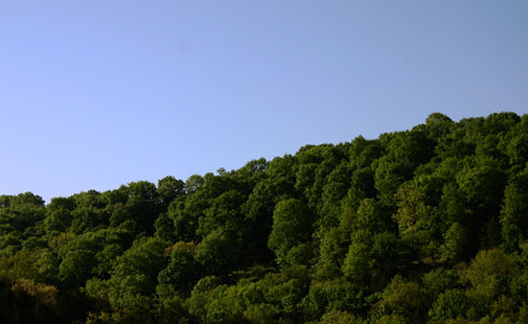 Green Ridge Against a Blue Ozark Sky