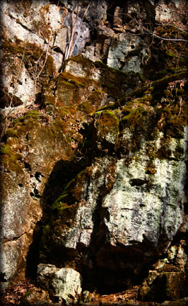 Turner Spring Cliff Wall