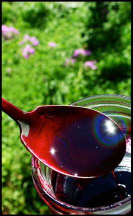 Elderberry Jelly Spoon