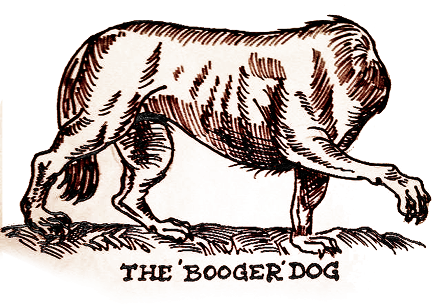 Booger Dog