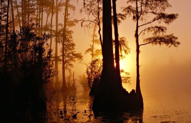okefenokee-swamp-georgia-florida-sunset-71273