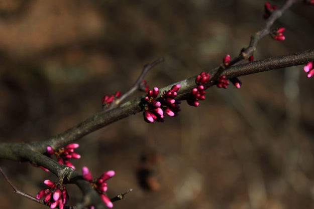 mincy-drury-mar22-31