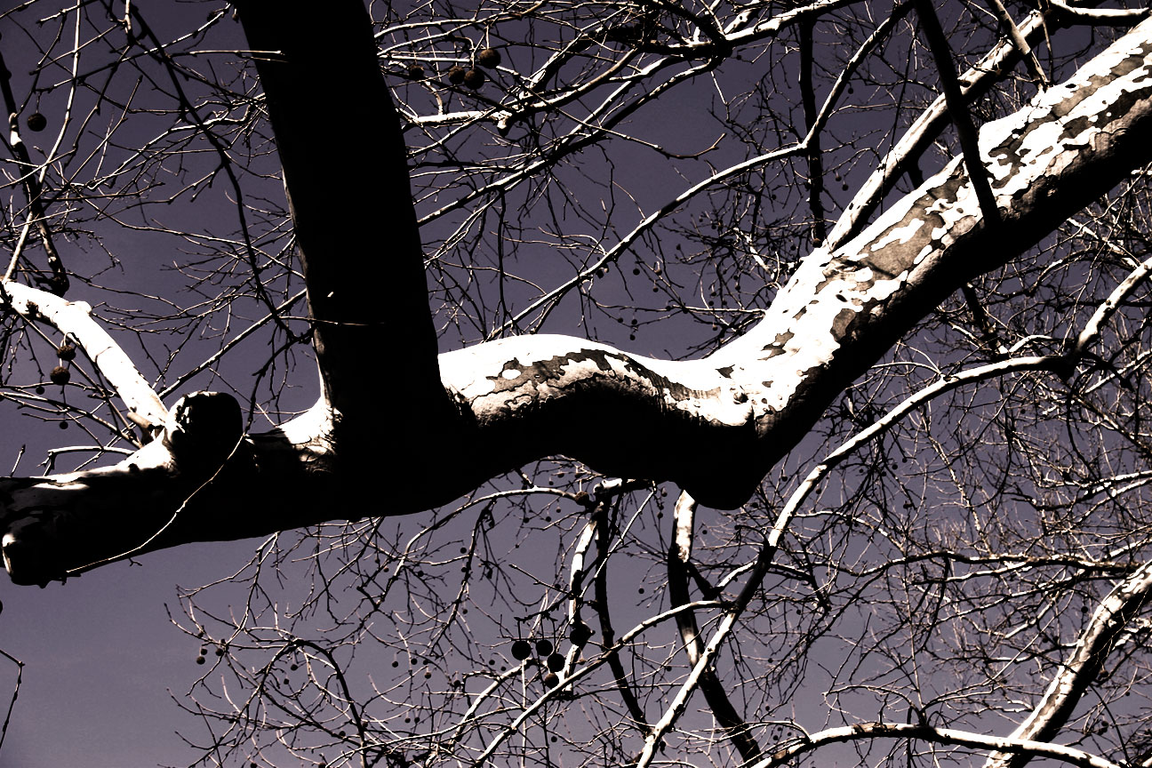 Alley Springs Mill Winter