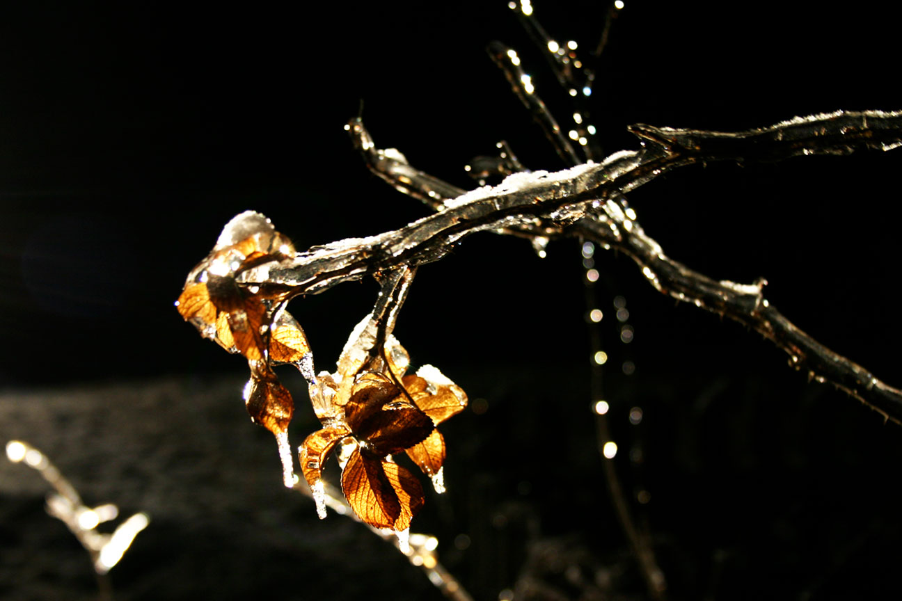 ice-night-1 All Through the Night