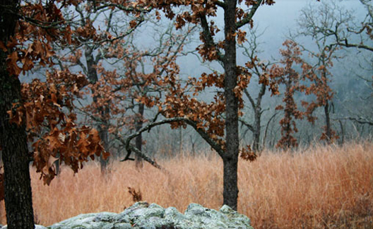 Rugged_cross_1 Old Rugged Cross