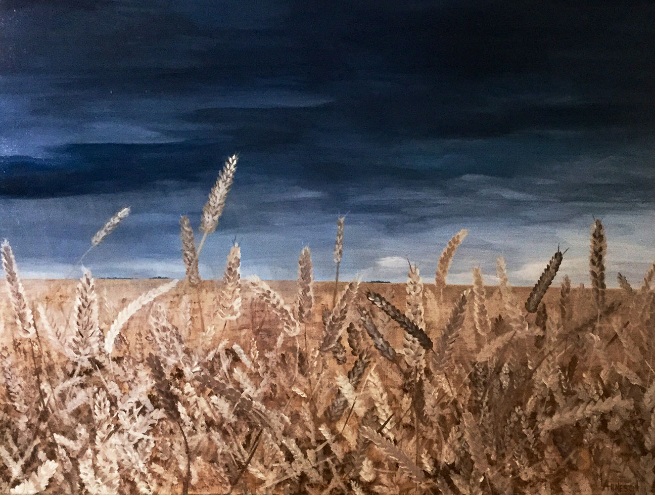 Country Rain by Mary Arneson