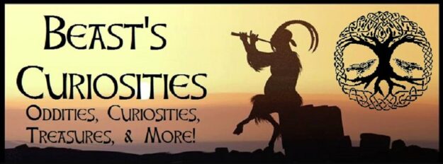 89124725_2914252778641674_7898517811658489856_n Beast's Curiosities
