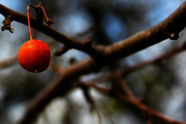 Josh Heston photography