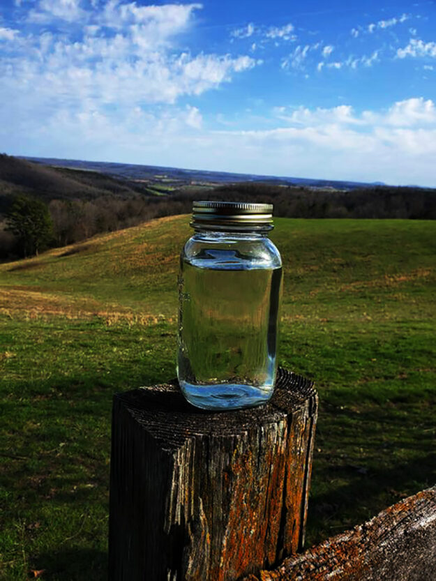 Moonshine Travis Holt