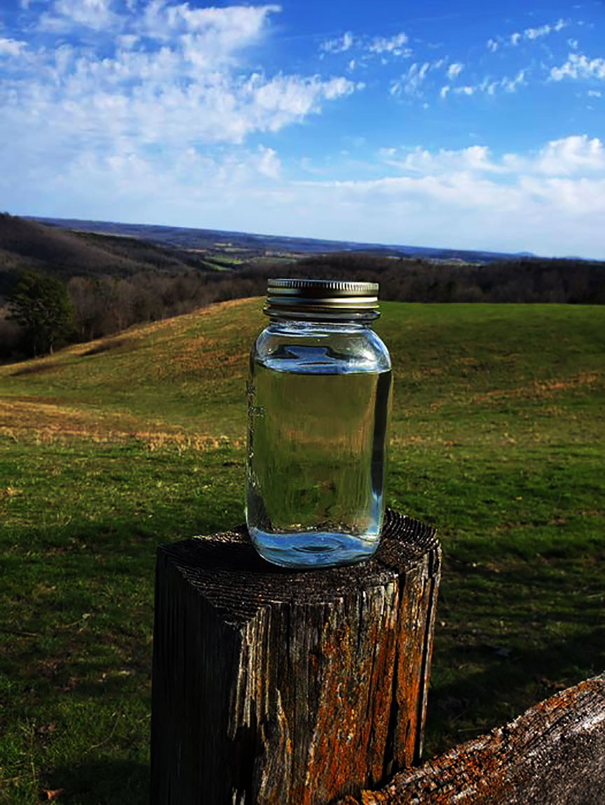 Moonshine Travis Holt